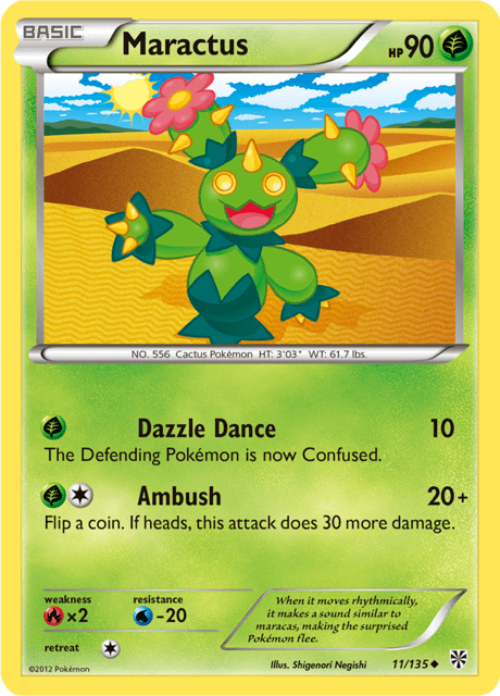 Maractus