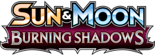 Burning Shadows