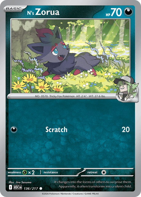 N's Zorua