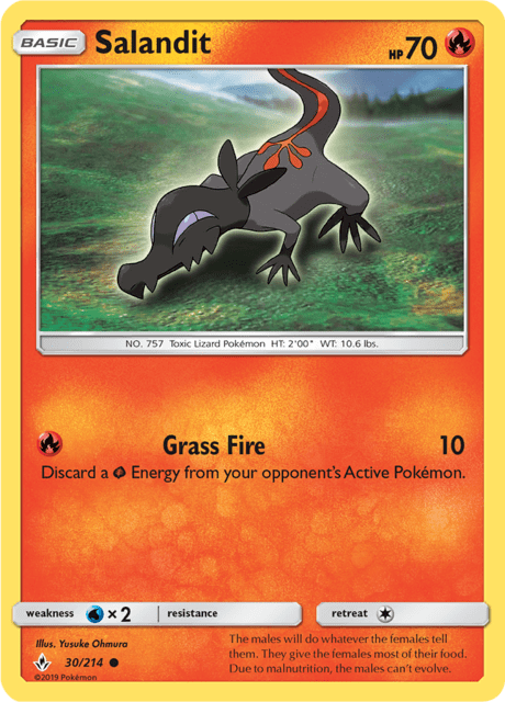 Salandit