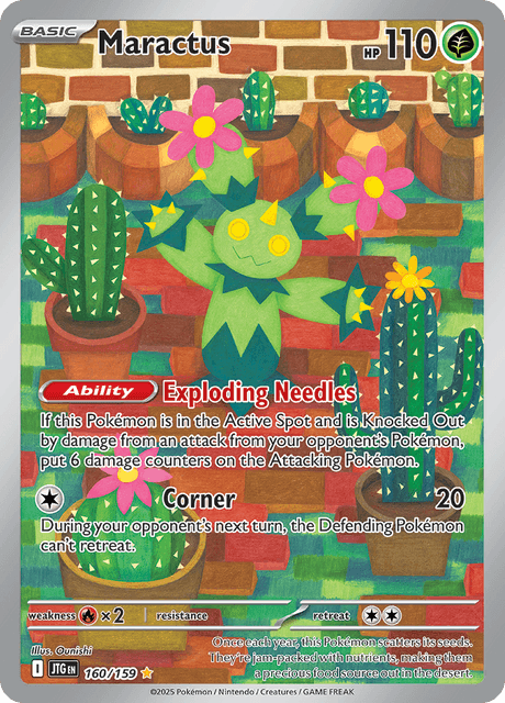 Maractus