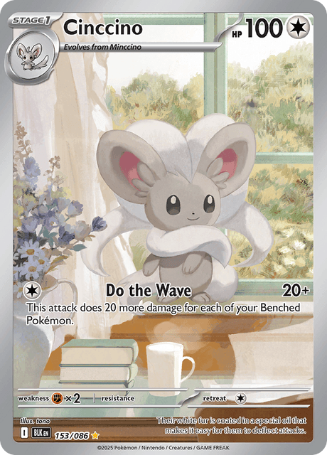 Cinccino