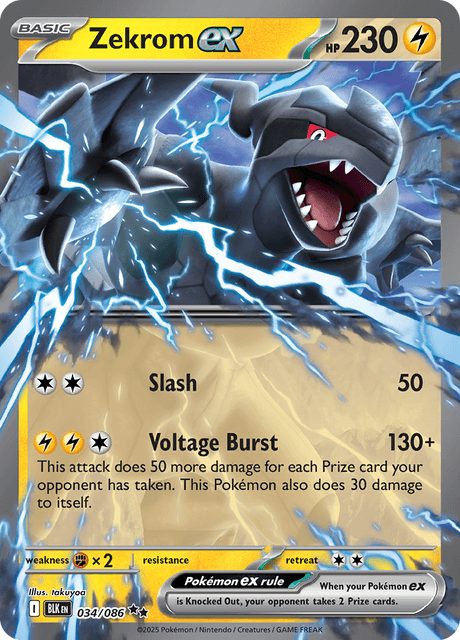 Zekrom ex