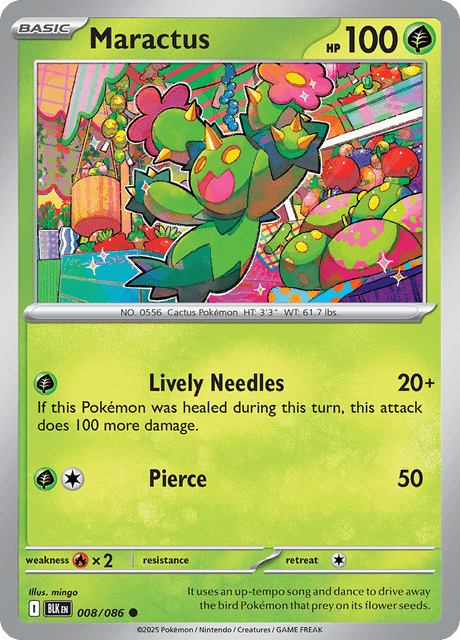 Maractus