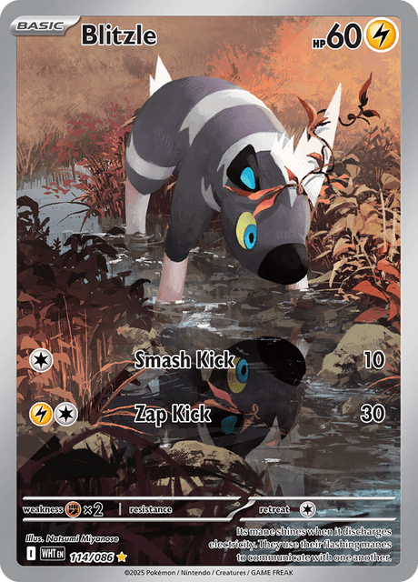 Blitzle