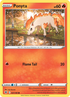 Ponyta