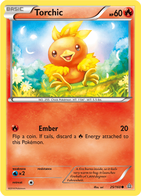 Torchic
