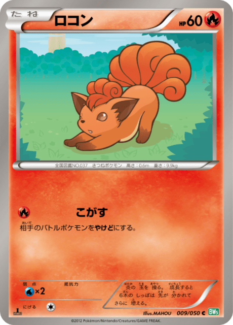 ロコン