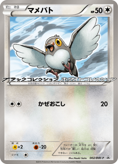 マメパト