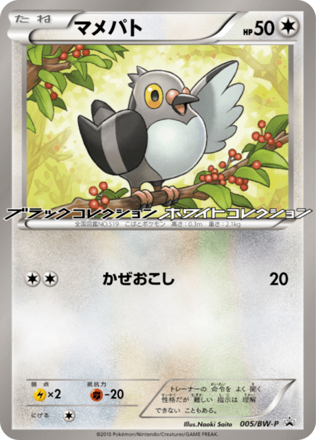 マメパト