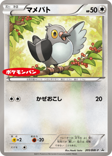 マメパト