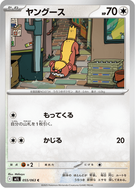 ヤングース