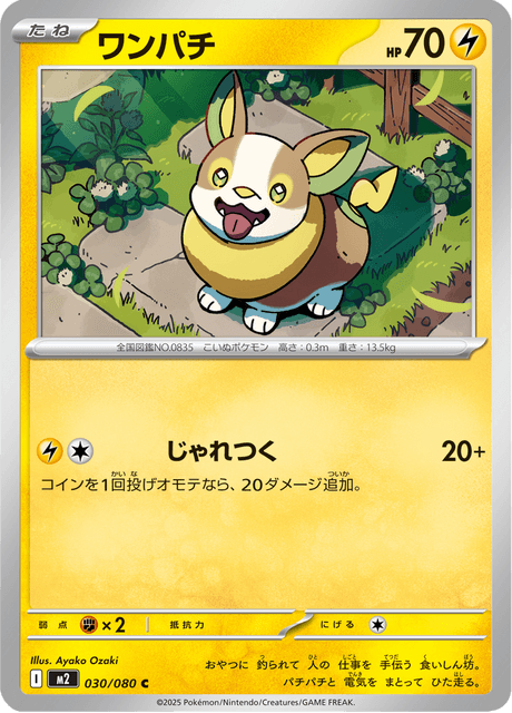 ワンパチ