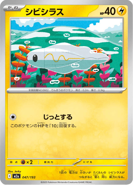シビシラス