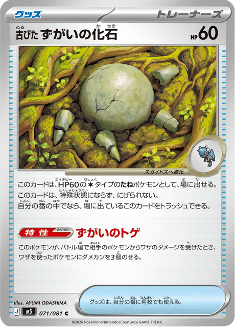 古びたずがいの化石