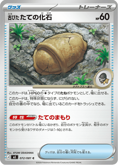 古びたたての化石