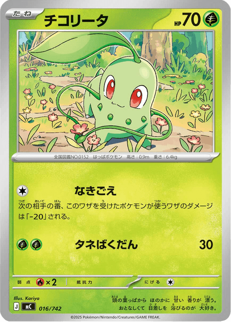 チコリータ