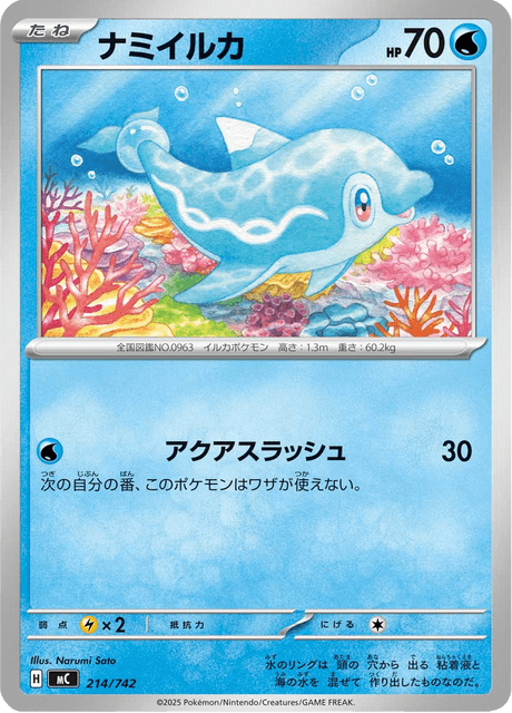 ナミイルカ