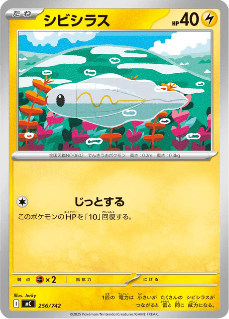 シビシラス