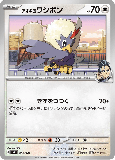 アオキのワシボン