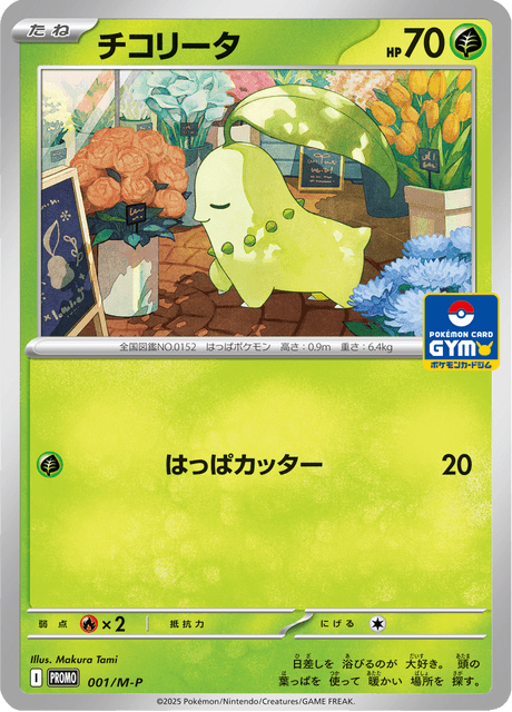 チコリータ