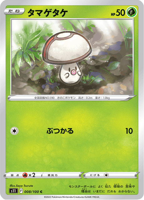 タマゲタケ