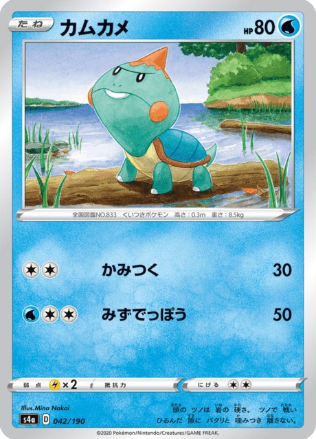 カムカメ