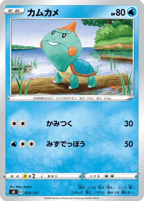 カムカメ
