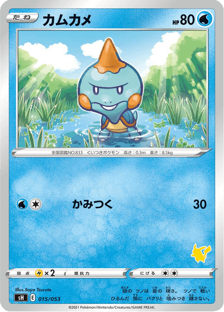 カムカメ