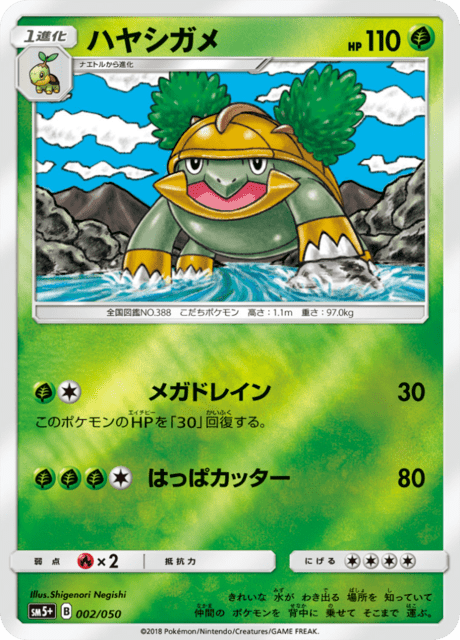ハヤシガメ