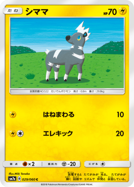 シママ