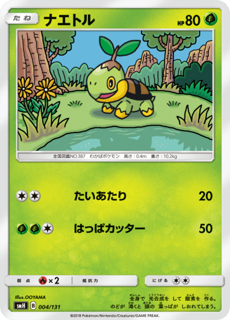 ナエトル