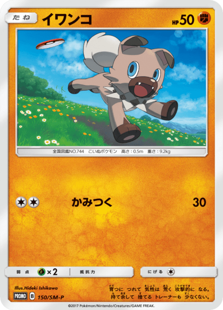 イワンコ
