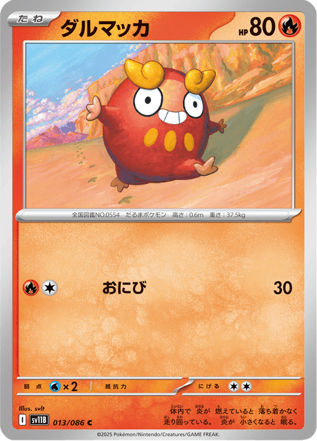 ダルマッカ