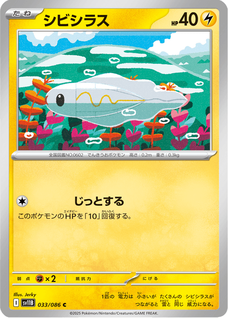 シビシラス
