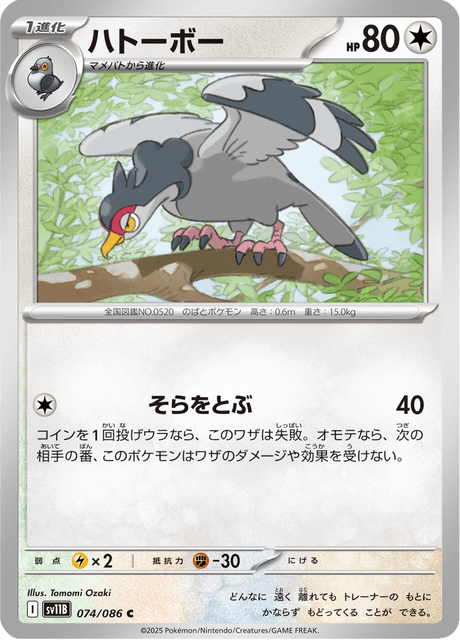 ハトーボー