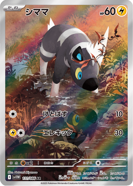 シママ
