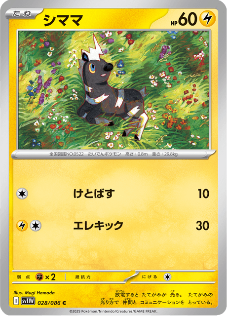 シママ