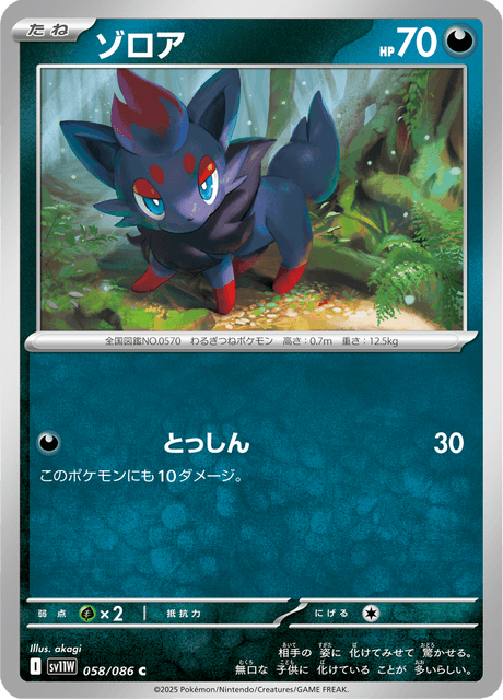 ゾロア