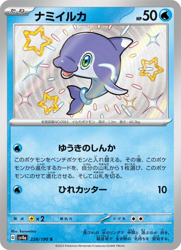 ナミイルカ