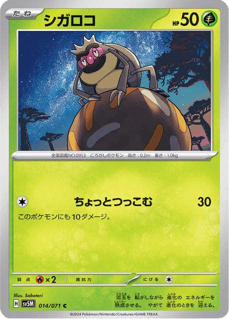 シガロコ