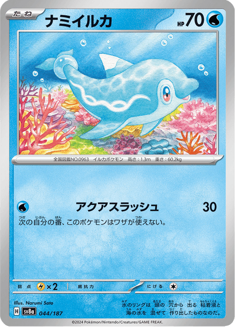 ナミイルカ