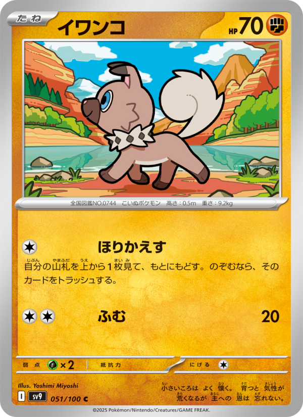 イワンコ