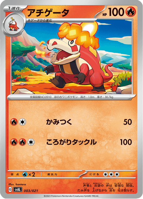 アチゲータ