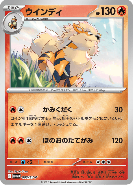 ウインディ