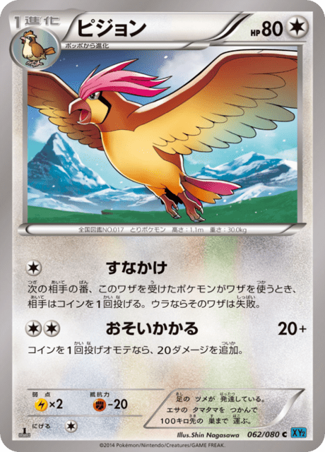 ピジョン