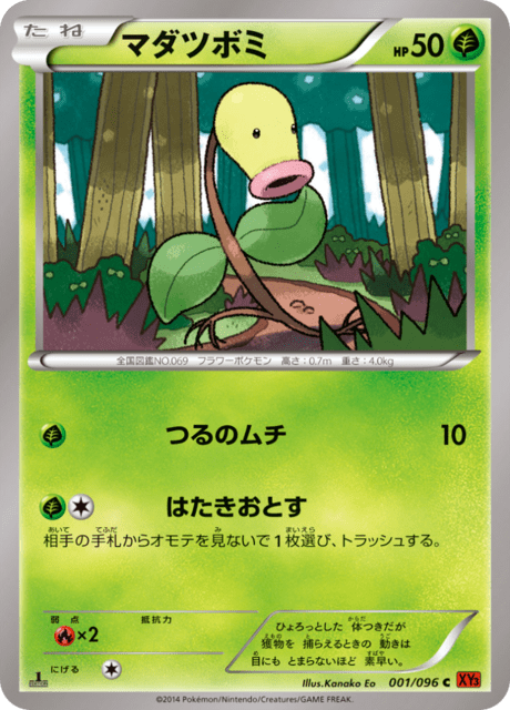 マダツボミ
