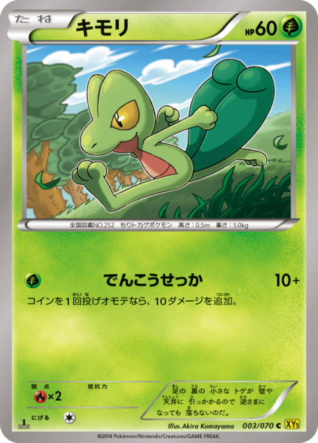 キモリ