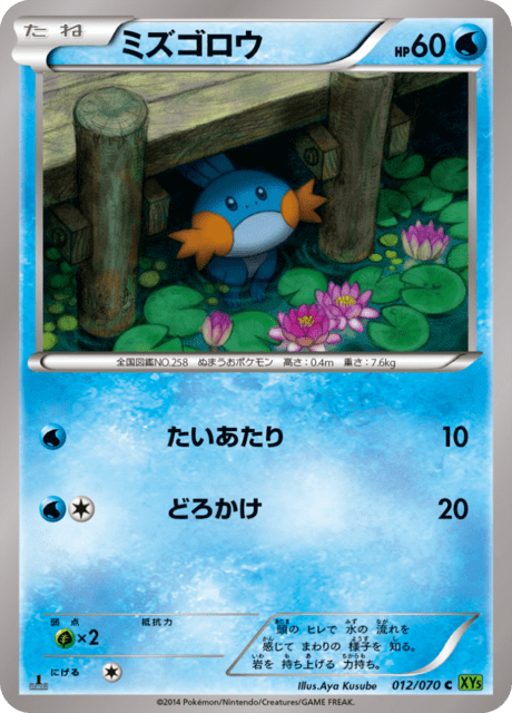 ミズゴロウ