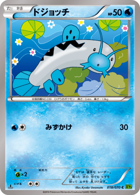 ドジョッチ